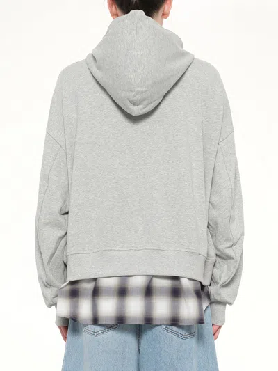 Feng Chen Wang 2 In Gray