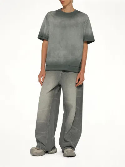 Feng Chen Wang 2 In Gray