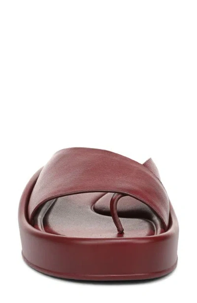 Naturalizer So Fly Sandal