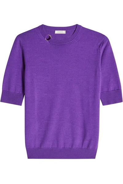 Nina Ricci Wool And Silk Pullover With Ring In Purple