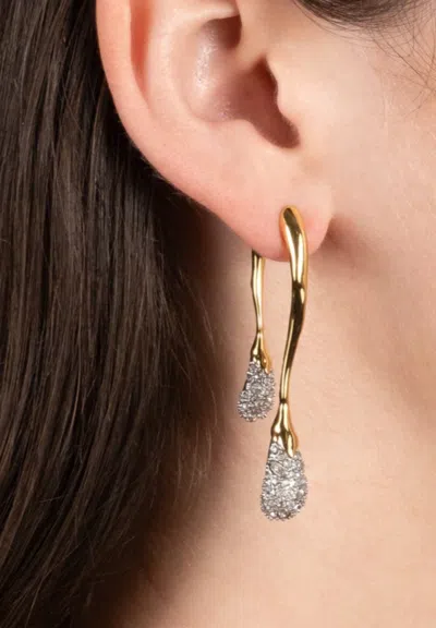 Alexis Bittar Solanales Crystal Front Back Link Earrings In Champagne