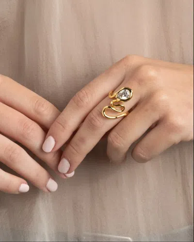 Alexis Bittar Asterales Floating Cubic Zirconia Vine Ring In Metallic