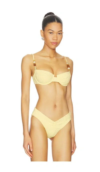 Devon Windsor Poppy Top