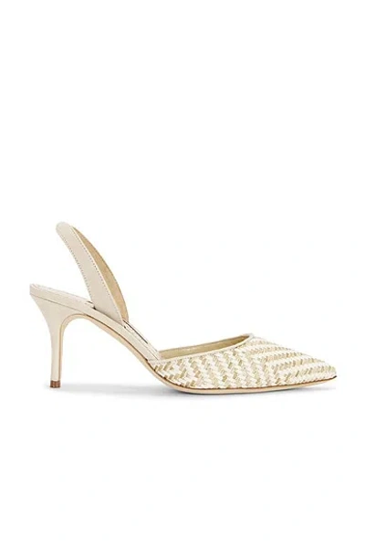 Manolo Blahnik Carolyne Woven Raffia Slingback Pump In Gold