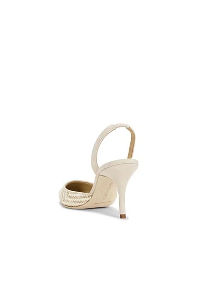 Manolo Blahnik Carolyne Woven Raffia Slingback Pump In Gold