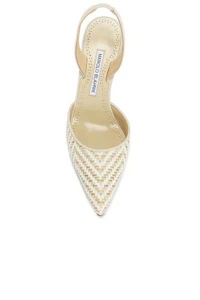 Manolo Blahnik Carolyne Woven Raffia Slingback Pump In Gold