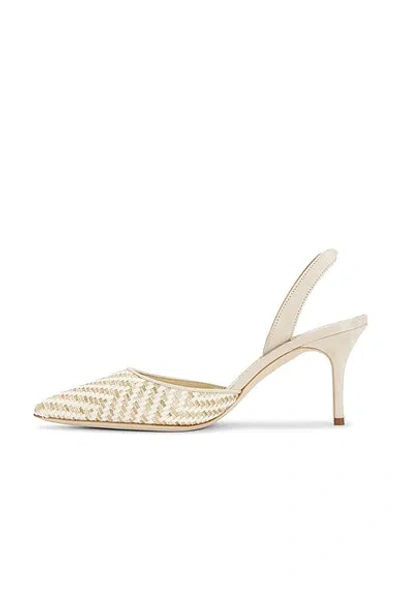 Manolo Blahnik Carolyne Woven Raffia Slingback Pump In Gold