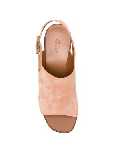 Chloé Maxime Suede Slingback Platform Mules In Pink
