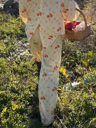 Djerf Avenue Go Slow Shirt Fruit In Multi