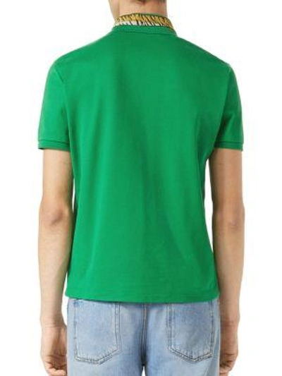 Shop Gucci Tiger Embroidered Cotton Polo In Green