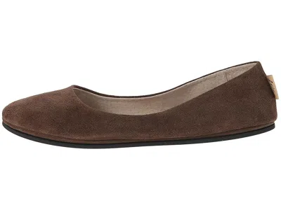 French Sole Sloop In Brown