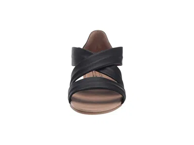 Eric Michael Netty In Brown