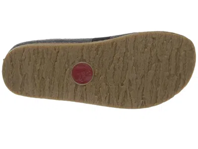 Haflinger Magic In Multi