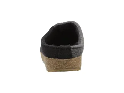 Haflinger Magic In Multi