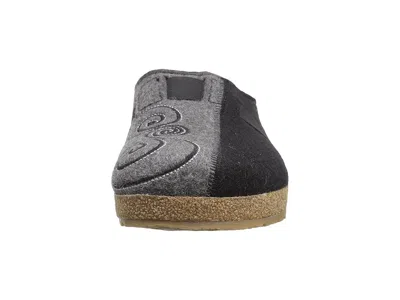 Haflinger Magic In Multi