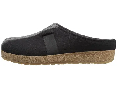 Haflinger Magic In Multi