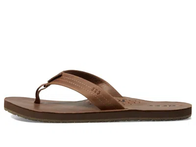 Reef Draftsmen In Brown