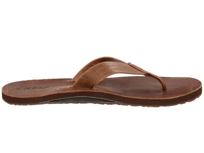 Reef Draftsmen In Brown