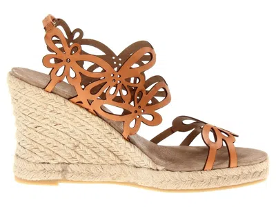 Eric Michael Jillian In Brown