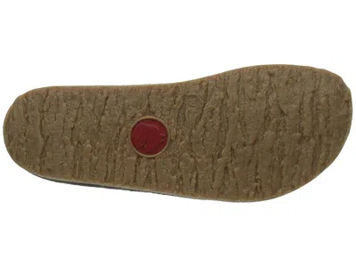 Haflinger Spirit In Multi