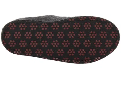 Haflinger Lizzy In Gray