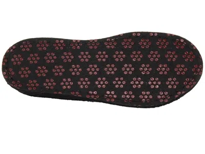 Haflinger Jack In Black