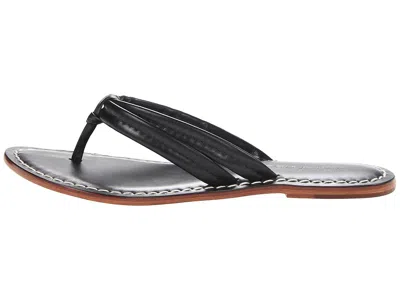 Bernardo Footwear Miami Thong Sandal In Black
