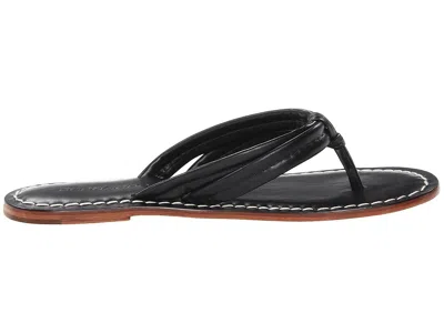 Bernardo Footwear Miami Thong Sandal In Black