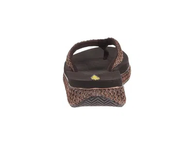 Volatile Palau In Brown