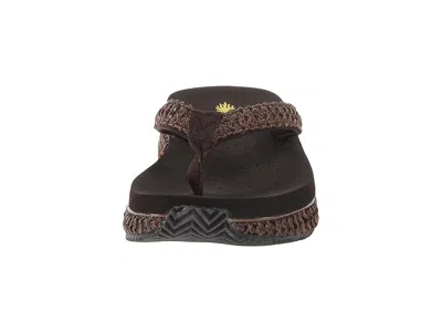 Volatile Palau In Brown