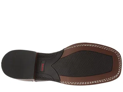 Laredo Spellbound Cowboy In Multi