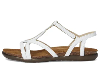 Naot Dorith In White