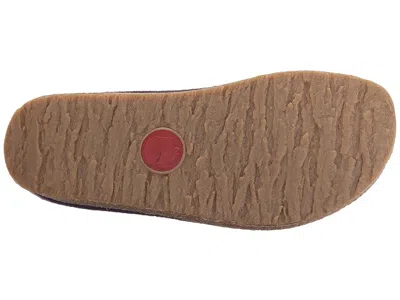 Haflinger Spirit In Multi
