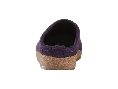 Haflinger Spirit In Multi