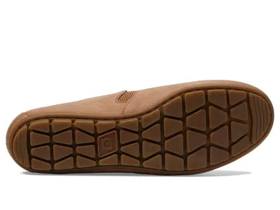 Born Sebra In Brown