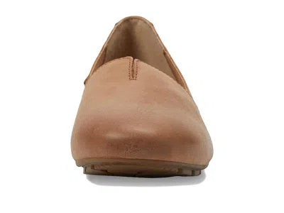Born Sebra In Brown