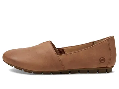 Born Sebra In Brown
