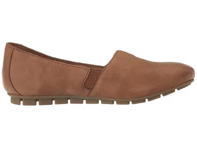 Born Sebra In Brown