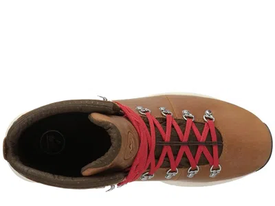 Danner Mountain 600 4.5 In Brown