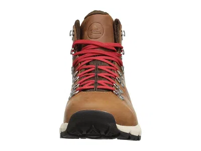 Danner Mountain 600 4.5 In Brown
