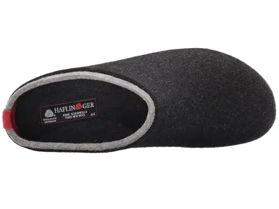 Haflinger Kris In Gray