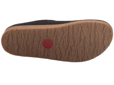 Haflinger Kris In Gray