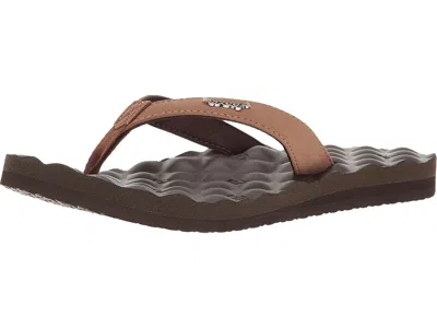 Reef Dreams In Brown