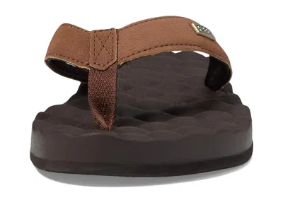 Reef Dreams In Brown