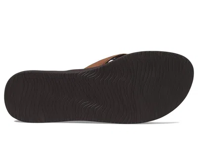 Reef Dreams In Brown