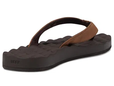 Reef Dreams In Brown