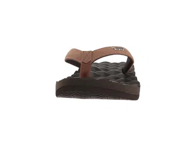 Reef Dreams In Brown