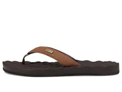 Reef Dreams In Brown