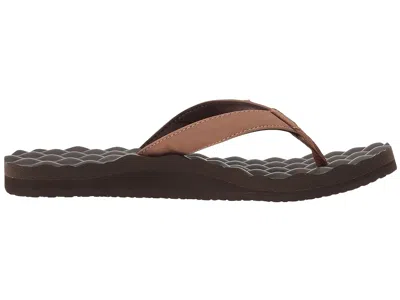 Reef Dreams In Brown