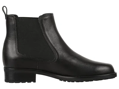 Sas Delaney In Black